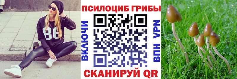 как найти закладки  Медвежьегорск  Галлюциногенные грибы прущие грибы 